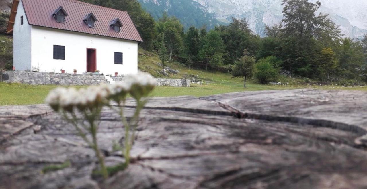 Guesthouse Freskia Theth Buitenkant foto