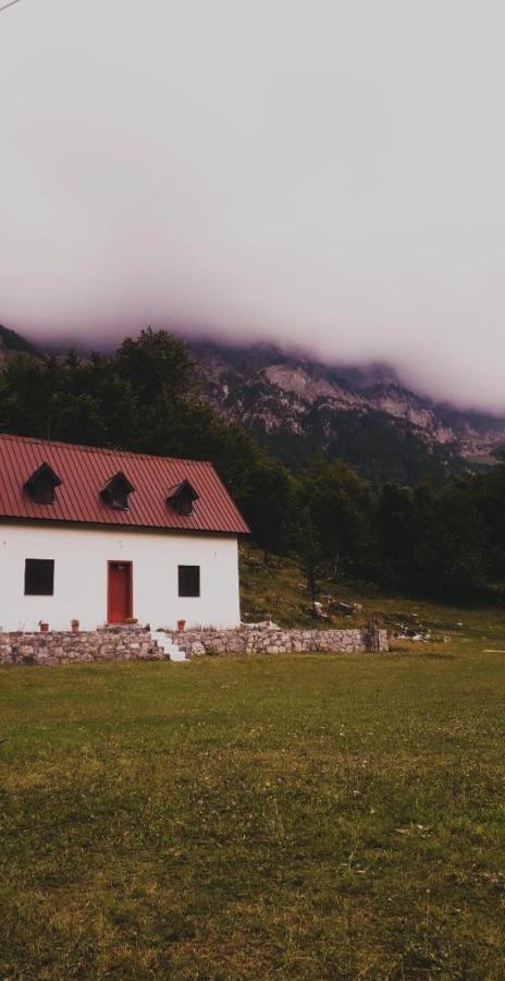Guesthouse Freskia Theth Buitenkant foto